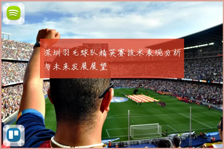 深圳羽毛球队精英赛技术表现分析与未来发展展望