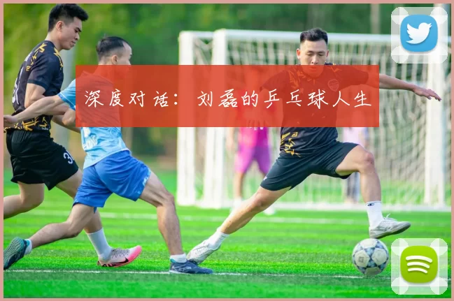 深度对话：刘磊的乒乓球人生