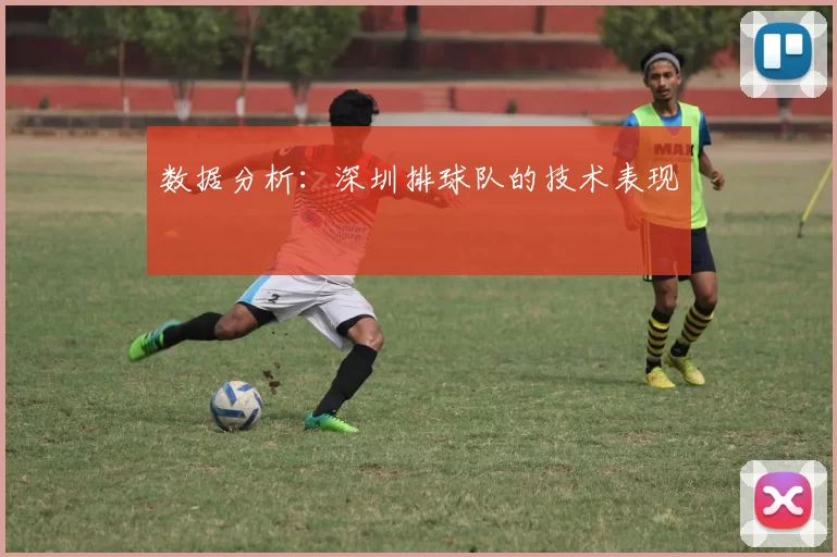 数据分析：深圳排球队的技术表现